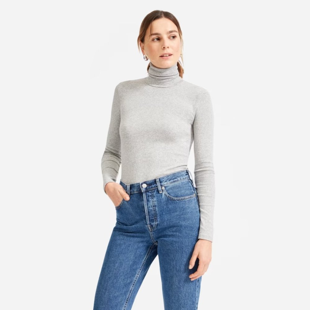 Everlane The Pima Micro-Rib Turtleneck (S, Heathered Grey)